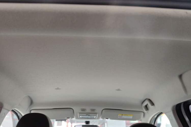 Used ORA Black Cat 2019 301km Standard Edition Headliner