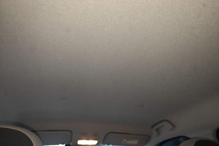 Used ORA Black Cat 2019 351 km Goddess Edition Headliner