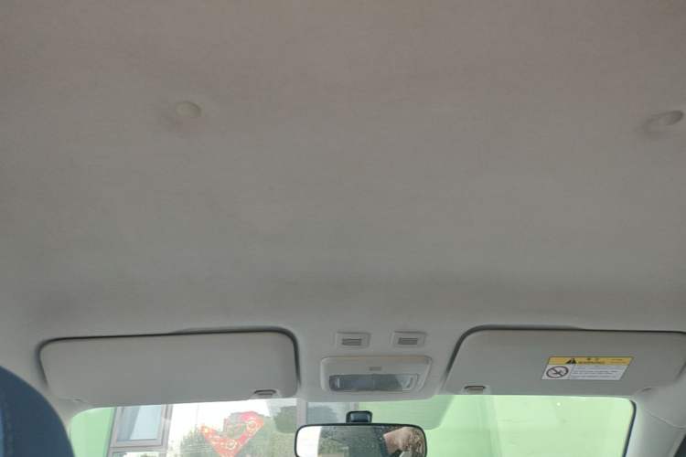 Used ORA Black Cat 2019 351 km Fun Edition Headliner