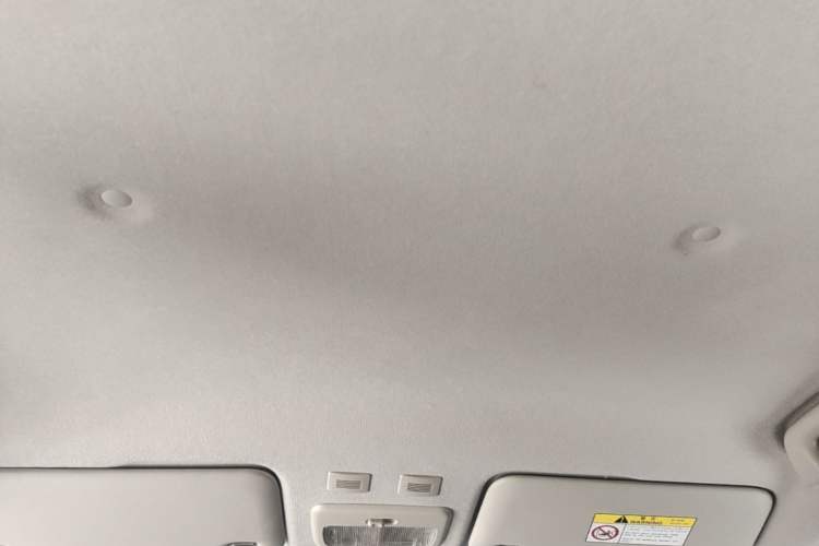 Used ORA Black Cat 2019 301km Standard Edition Headliner