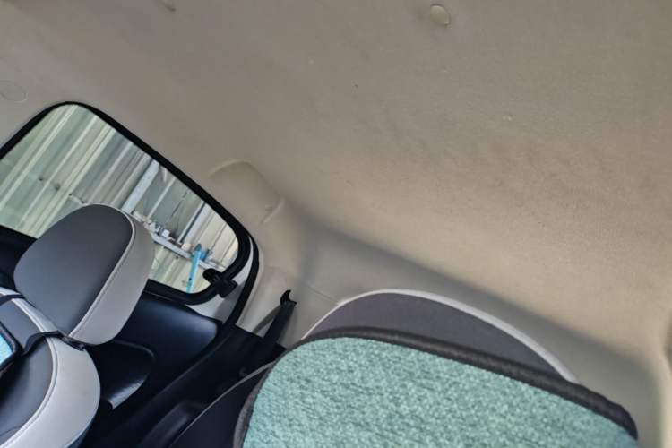 Used ORA Black Cat 2019 310km Fun Edition Headliner