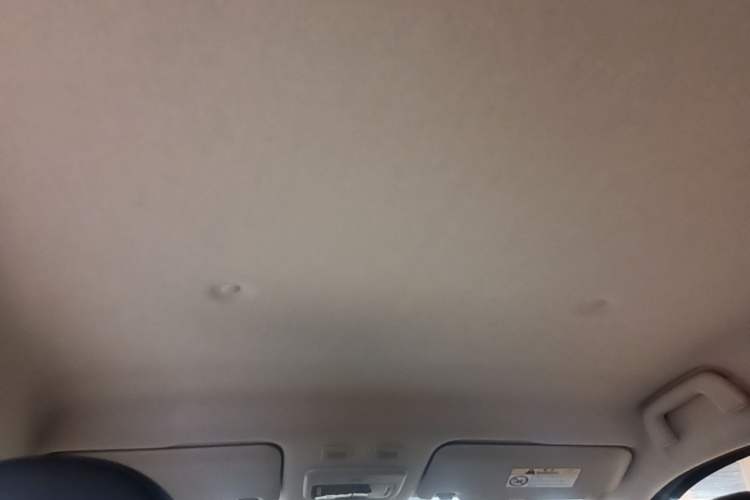 Used ORA Black Cat 2019 351 km Family Edition Headliner