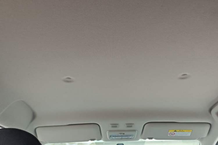 Used ORA Black Cat 2019 301km Standard Edition Headliner