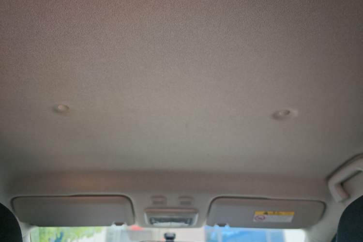 Used ORA Black Cat 2019 351 km Family Edition Headliner