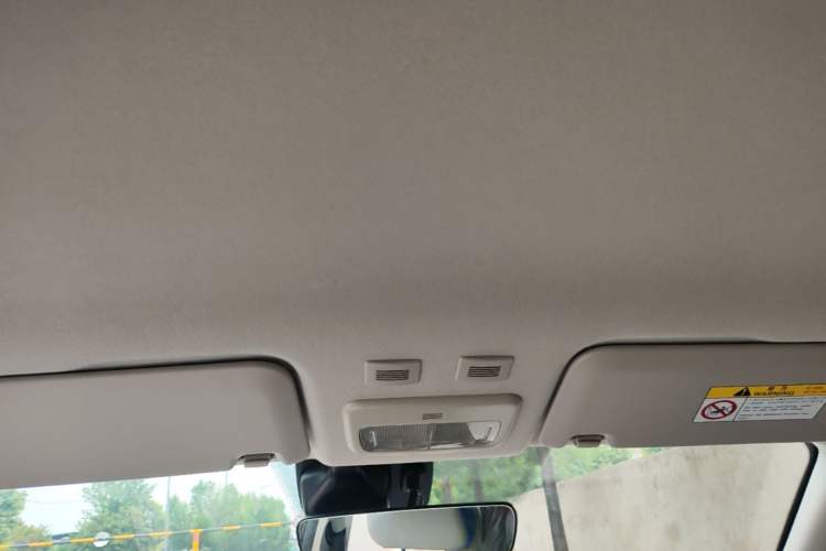 Used ORA Black Cat 2019 351 km Goddess Edition Headliner