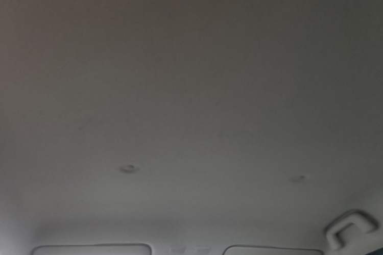 Used ORA Black Cat 2019 310km Fun Edition Headliner