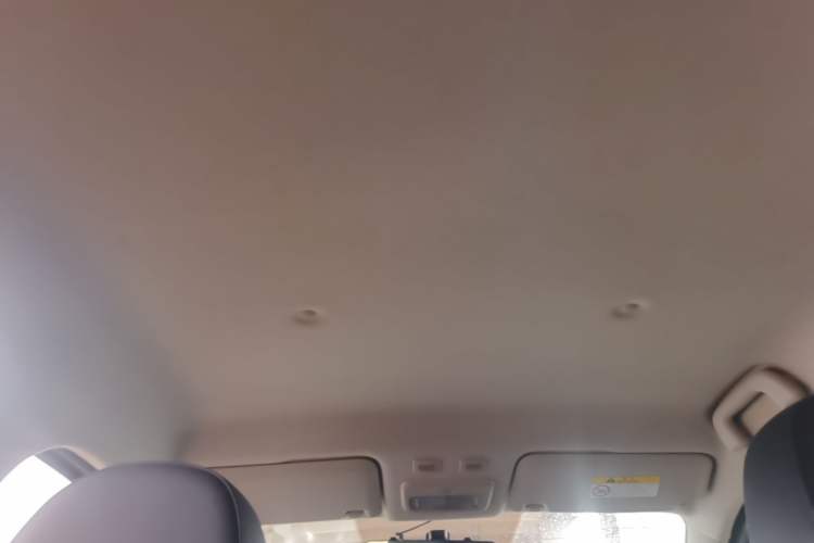 Used ORA Black Cat 2019 351 km Family Edition Headliner