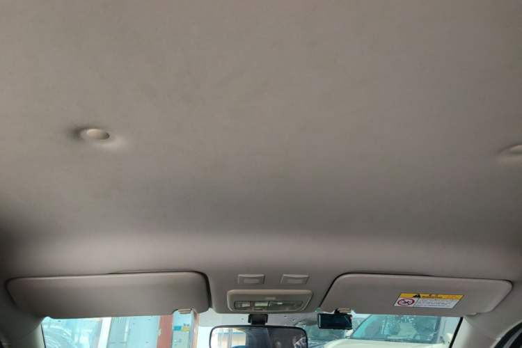 Used ORA Black Cat 2019 351 km Fun Edition Headliner