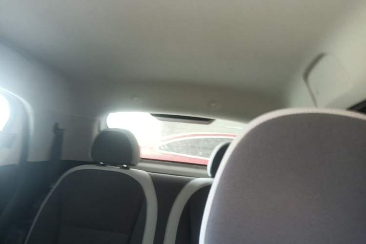 Used ORA Black Cat 2019 301km Standard Edition Headliner