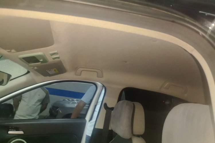 Used ORA Black Cat 2019 351 km Goddess Edition Headliner