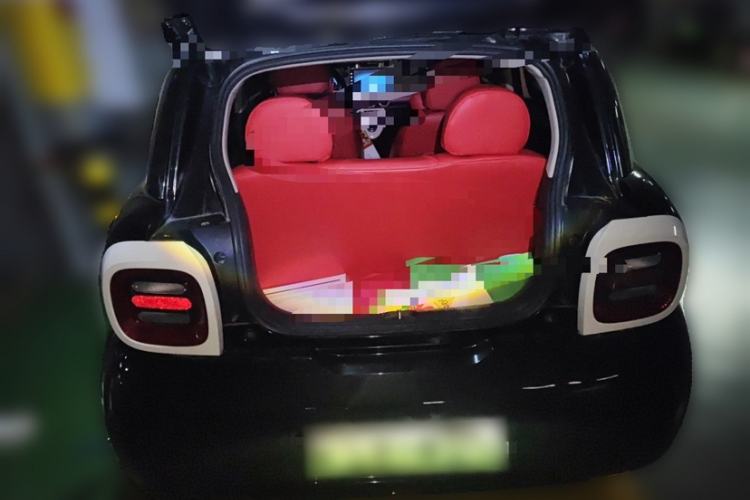 Used ORA Black Cat 2019 351 km Goddess Edition Interior 2
