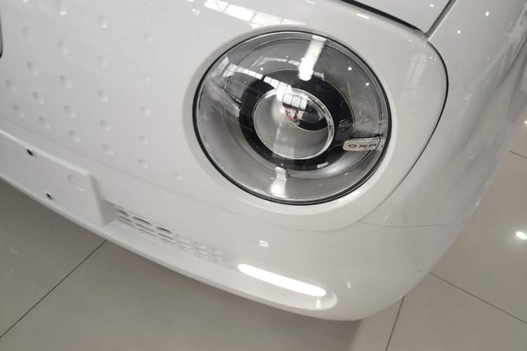 Used ORA Black Cat 2019 351 km Lingzhi Edition Left Front Headlight