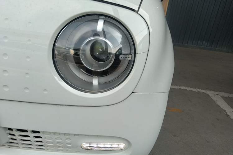 Used ORA Black Cat 2019 351 km Lingzhi Edition Left Front Headlight