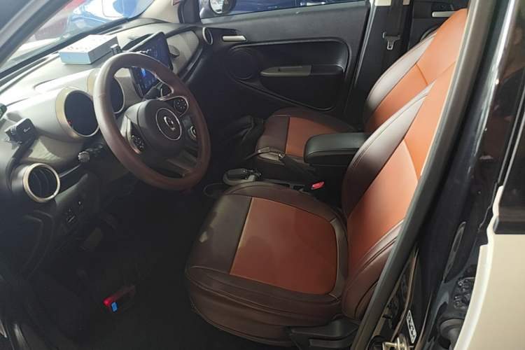 Used ORA Black Cat 2019 351 km Fun Edition Left Front Seat