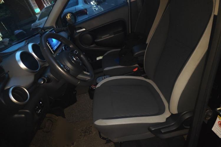 Used ORA Black Cat 2019 351 km Lingzhi Edition Left Front Seat