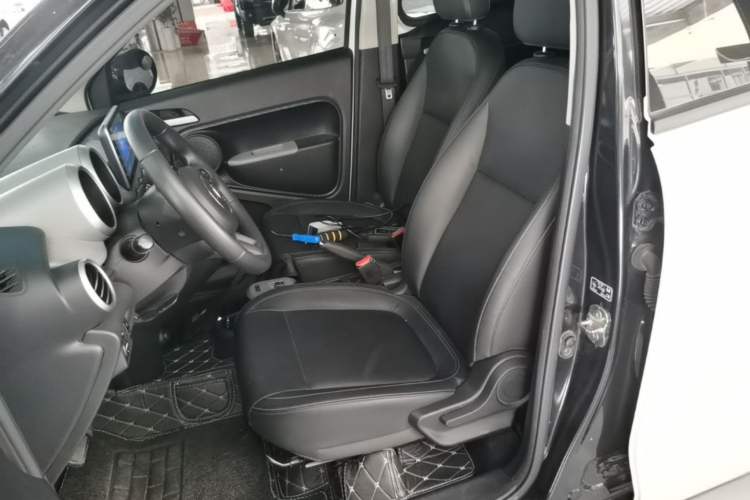 Used ORA Black Cat 2019 351 km Family Edition Left Front Seat
