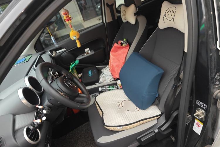 Used ORA Black Cat 2019 351 km Goddess Edition Left Front Seat