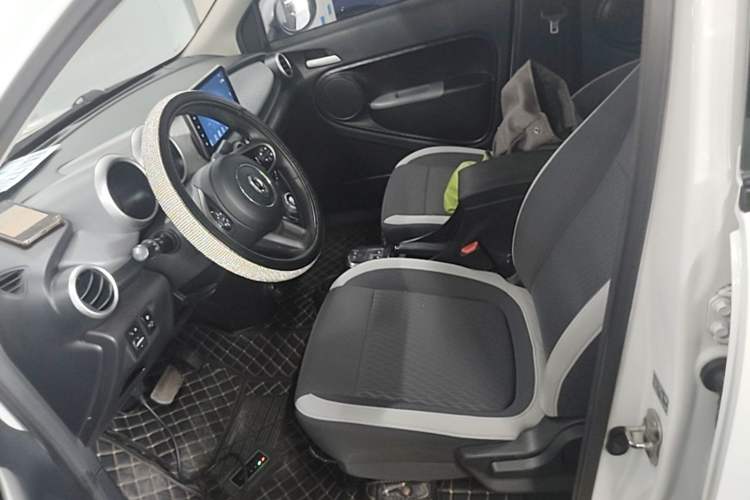 Used ORA Black Cat 2019 310km Fun Edition Left Front Seat