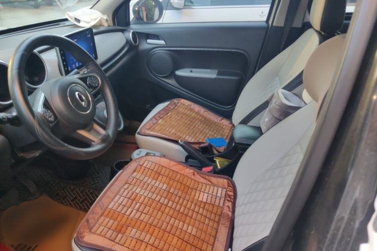 Used ORA Black Cat 2019 301km Standard Edition Left Front Seat