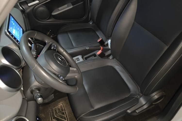 Used ORA Black Cat 2019 351 km Fun Edition Left Front Seat
