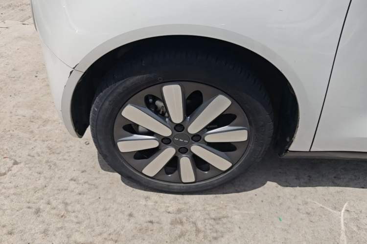 Used ORA Black Cat 2019 351 km Goddess Edition Left Front Wheel Hub
