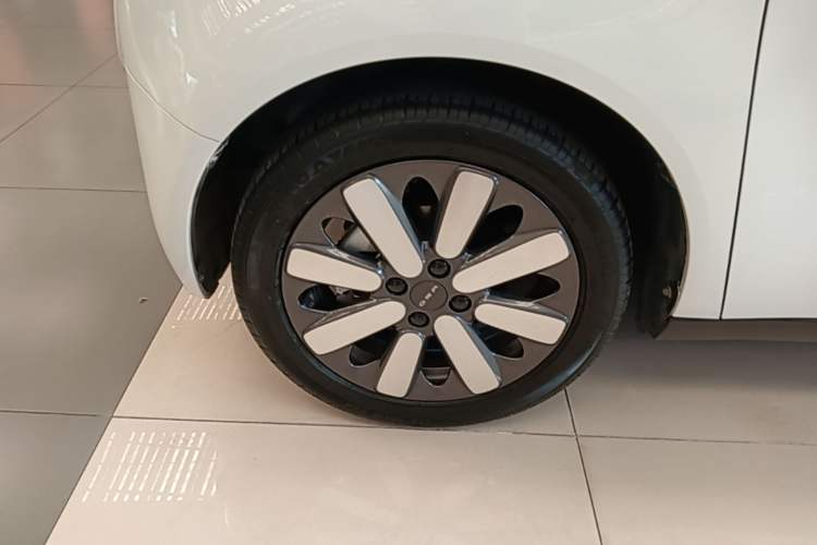 Used ORA Black Cat 2019 351 km Family Edition Left Front Wheel Hub