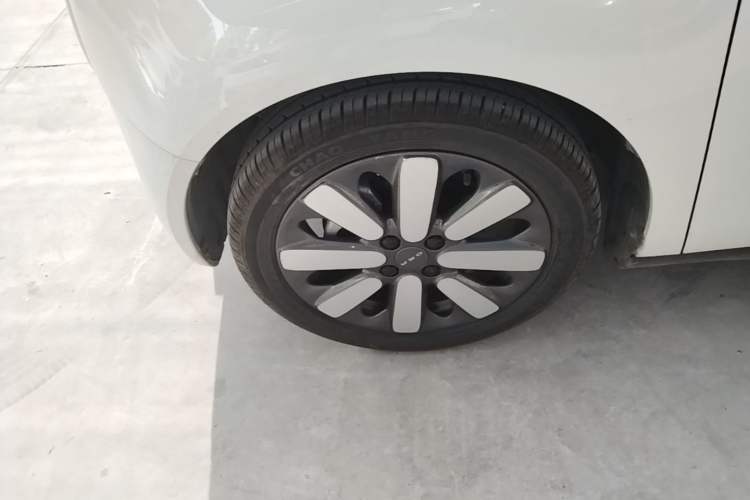 Used ORA Black Cat 2019 351 km Family Edition Left Front Wheel Hub