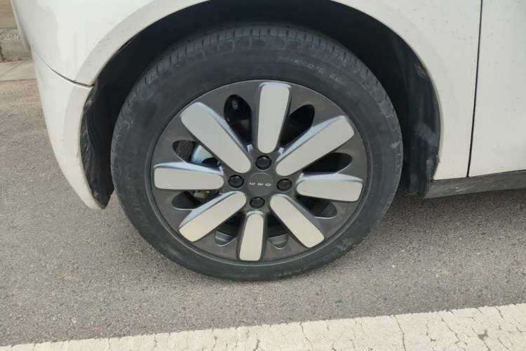Used ORA Black Cat 2019 351 km Goddess Edition Left Front Wheel Hub