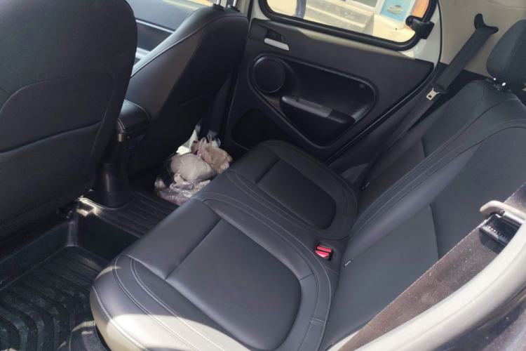 Used ORA Black Cat 2019 351 km Family Edition Left Rear Seat