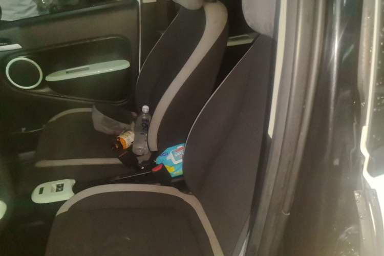 Used ORA Black Cat 2019 351 km Goddess Edition Left Rear Seat