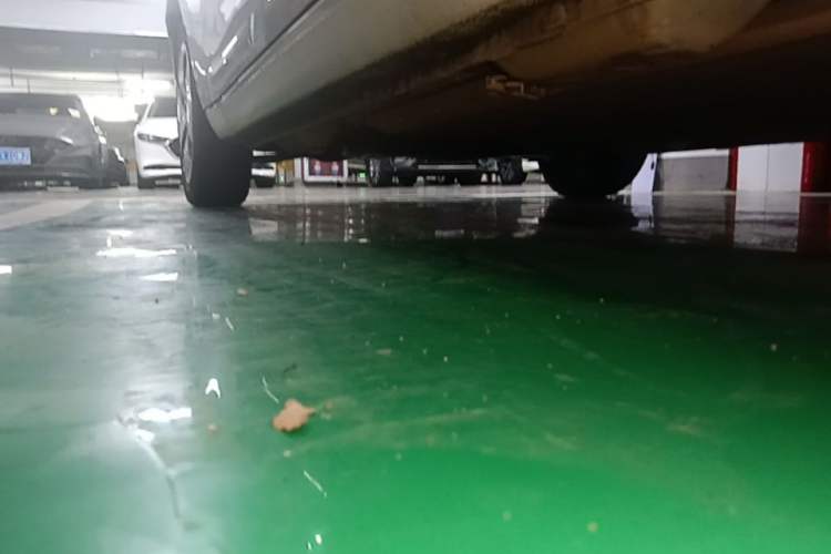 Used ORA Black Cat 2019 351 km Fun Edition Left Side Sill