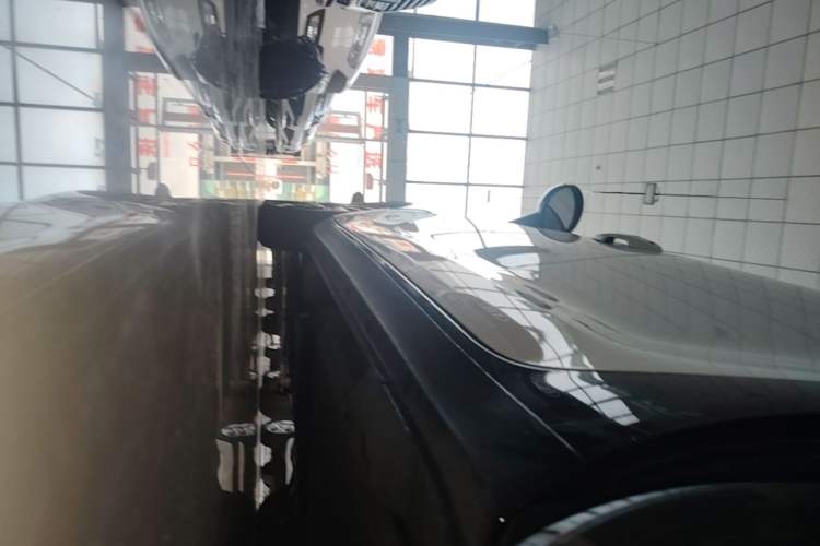 Used ORA Black Cat 2019 351 km Lingzhi Edition Left Side Sill