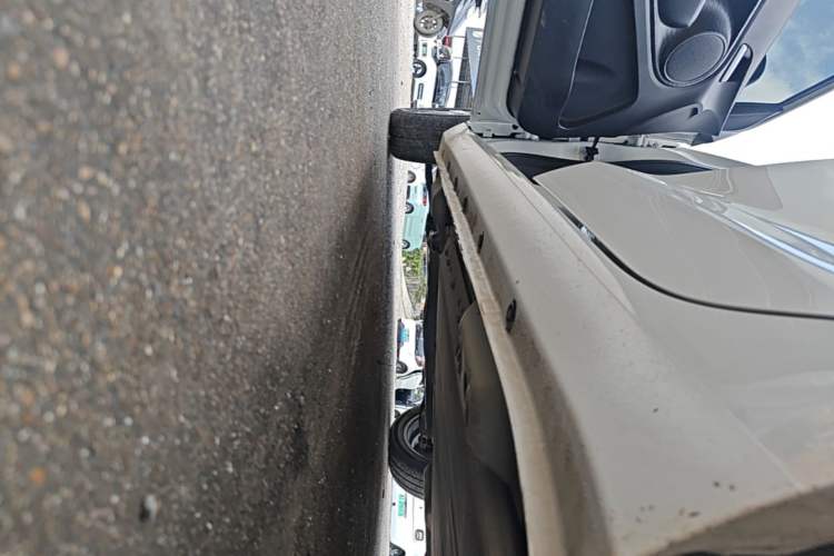 Used ORA Black Cat 2019 351 km Family Edition Left Side Sill