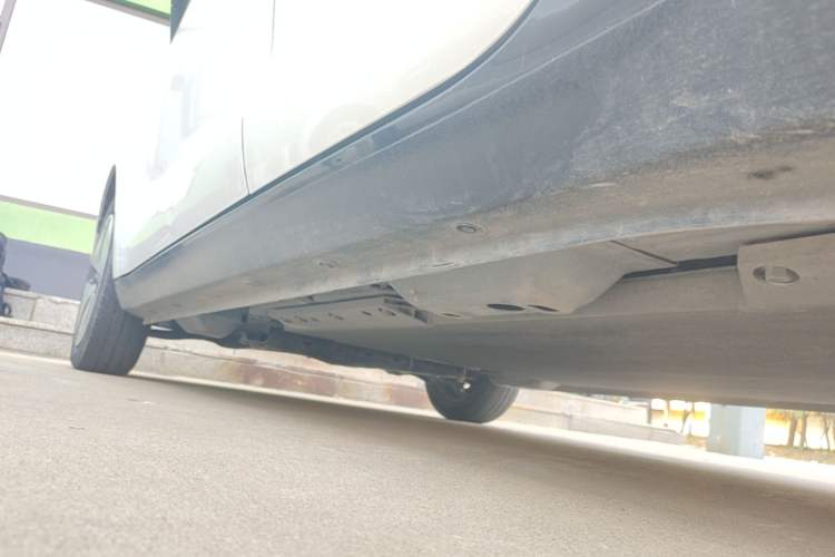 Used ORA Black Cat 2019 351 km Fun Edition Left Side Sill
