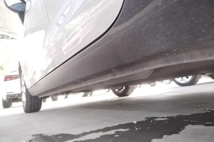 Used ORA Black Cat 2019 351 km Family Edition Left Side Sill