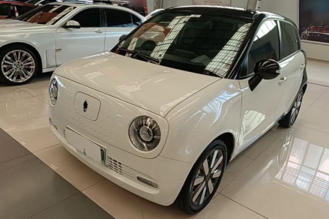 Used ORA Black Cat 2019 351 km Family Edition