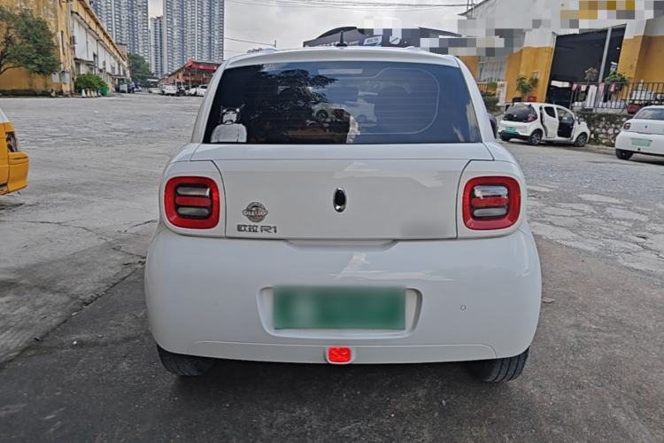 Used ORA Black Cat 2019 351 km Family Edition Rear