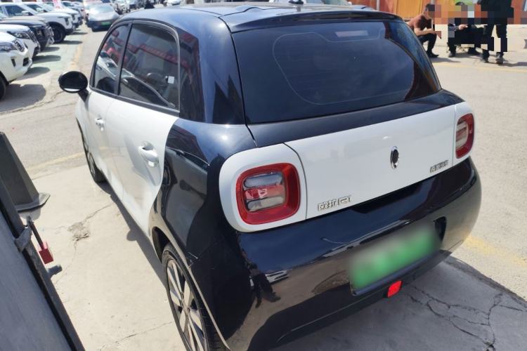 Used ORA Black Cat 2019 351 km Family Edition Rear Left 45 Deg