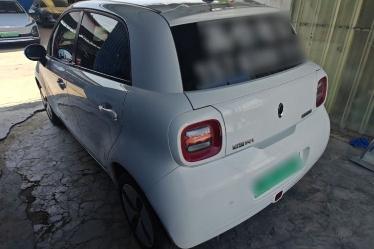 Used ORA Black Cat 2019 310km Fun Edition Rear Left 45 Deg