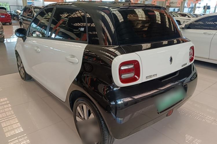 Used ORA Black Cat 2019 351 km Family Edition Rear Left 45 Deg