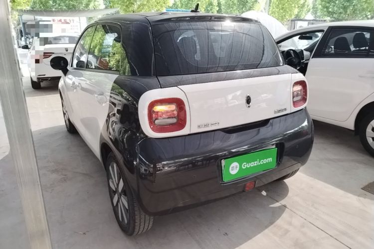 Used ORA Black Cat 2019 351 km Family Edition Rear Left 45 Deg