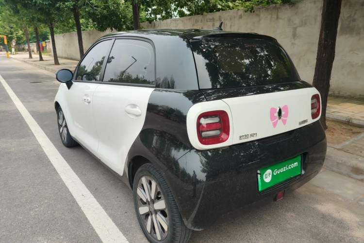 Used ORA Black Cat 2019 351 km Goddess Edition Rear Left 45 Deg