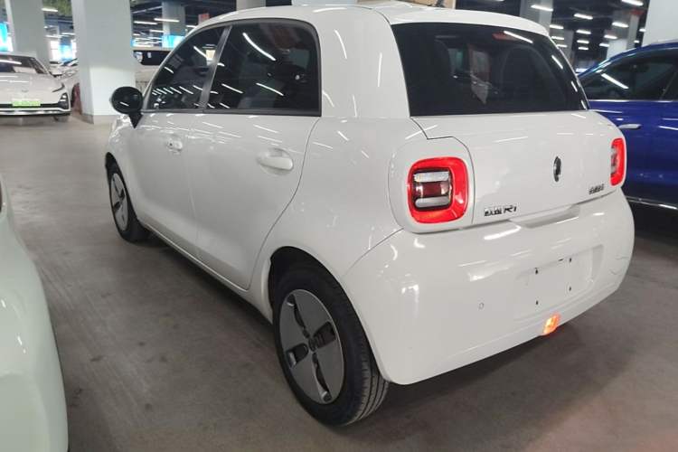 Used ORA Black Cat 2019 310km Fun Edition Rear Left 45 Deg