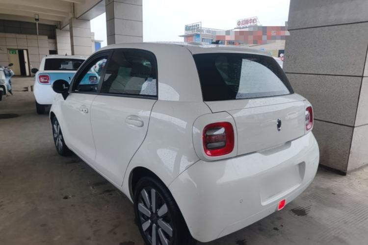 Used ORA Black Cat 2019 351 km Family Edition Rear Left 45 Deg