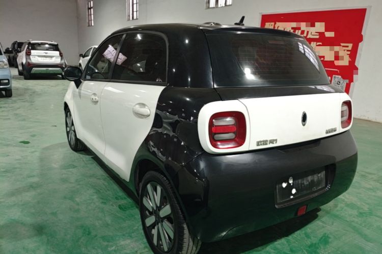 Used ORA Black Cat 2019 351 km Family Edition Rear Left 45 Deg