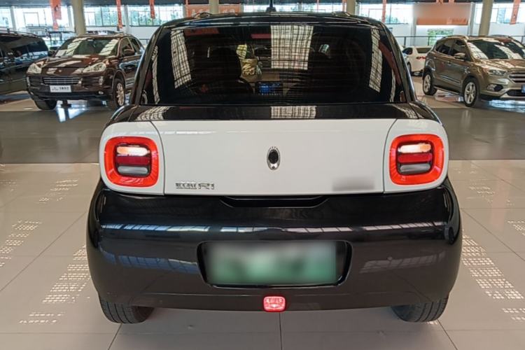 Used ORA Black Cat 2019 351 km Family Edition Rear