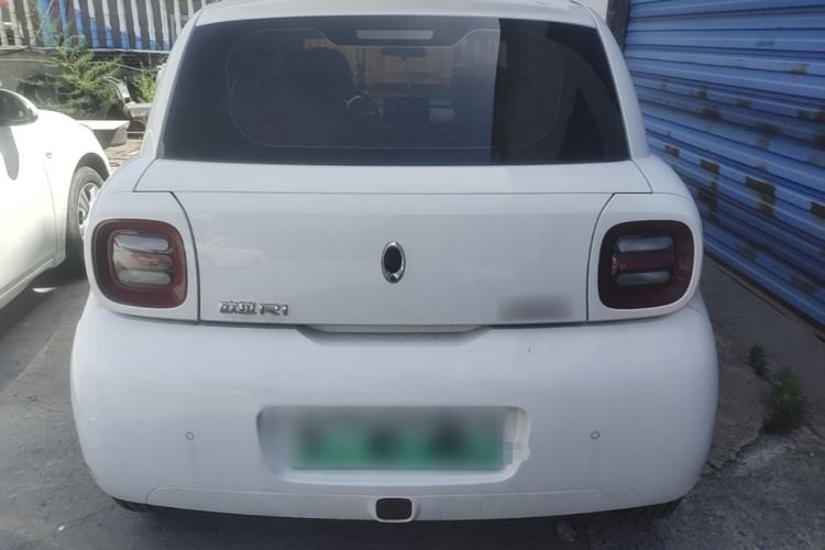 Used ORA Black Cat 2019 351 km Fun Edition Rear