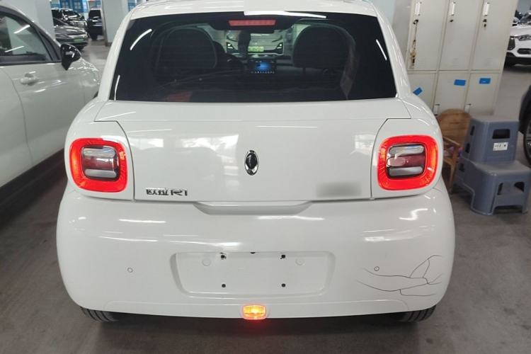 Used ORA Black Cat 2019 310km Fun Edition Rear