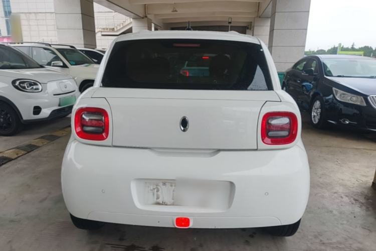 Used ORA Black Cat 2019 351 km Family Edition Rear