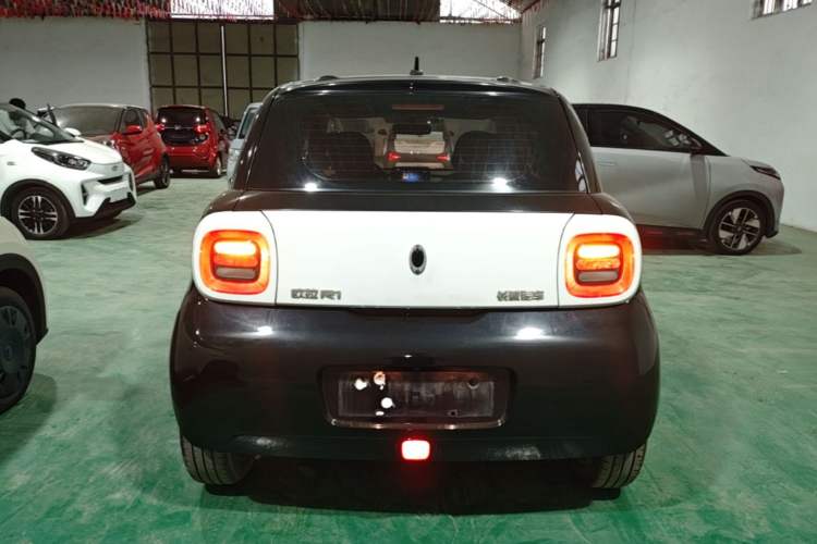Used ORA Black Cat 2019 351 km Family Edition Rear